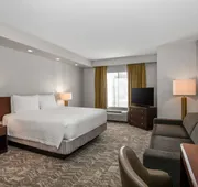 Springhill Suites Phoenix Glendale Sports & Entertainment District hotel detail image 7