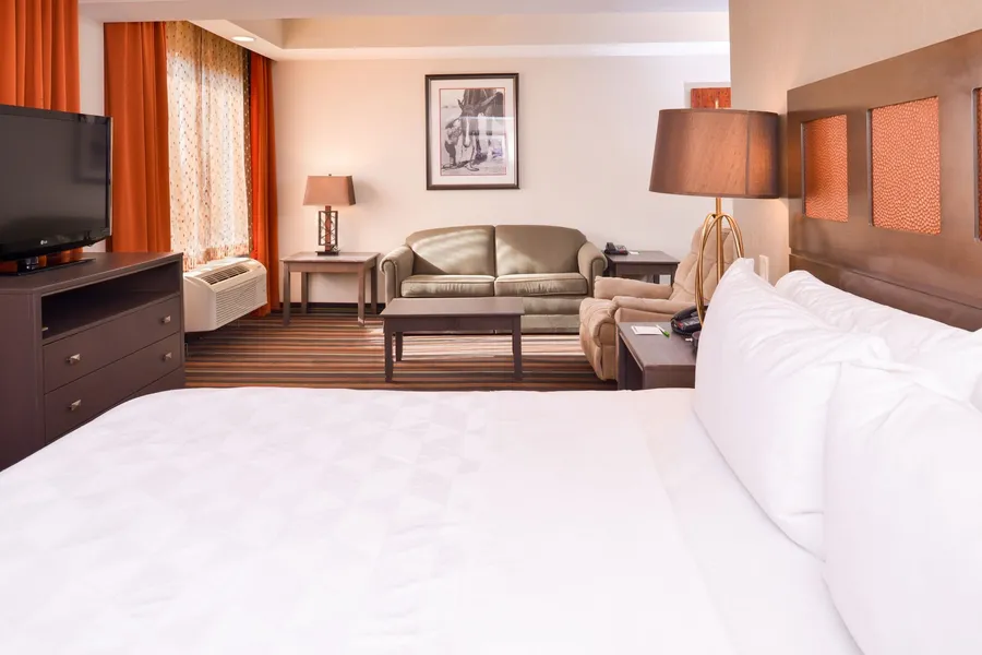 Holiday Inn Amarillo West Medical Center by IHG hotel detail image 6