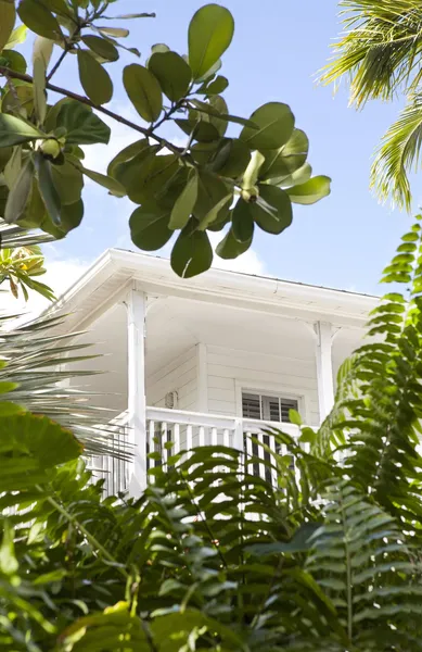 Paradise Inn Key West - Adults Only hotel detail image 2