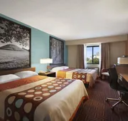 Super 8 by Wyndham Collinsville St. Louis hotel detail image 3