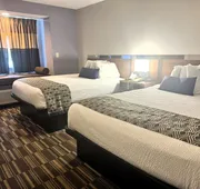 Microtel Inn & Suites by Wyndham Gardendale/Birmingham North hotel detail image 5