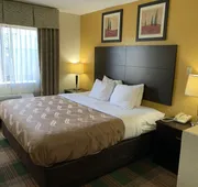 Quality Inn Montgomery South hotel detail image 7