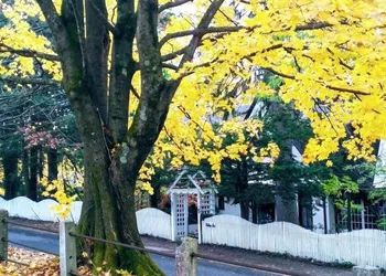 Whistler's Inn Bed & Breakfast hotel thumbnail 3