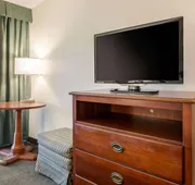 Quality Inn & Suites Tarpon Springs South hotel detail image 4