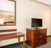 Quality Inn & Suites Tarpon Springs South hotel detail image 5