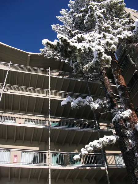 Pepper Tree Inn hotel detail image 2