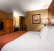 Best Western Plus Deer Park Hotel & Suites hotel detail image 4