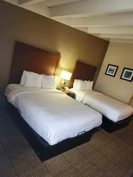 Comfort Inn & Suites Madison - Airport hotel detail image 6