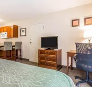 Comfort Inn & Suites South Burlington near University hotel detail image 3