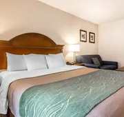 Comfort Inn & Suites South Burlington near University hotel detail image 4
