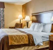 Quality Inn & Suites Mount Pleasant hotel detail image 7