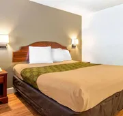 Econo Lodge Inn & Suites near Chickamauga Battlefield hotel detail image 7