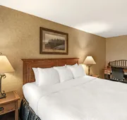 Best Western Plus Kelly Inn & Suites hotel detail image 7