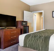 Comfort Inn hotel detail image 3