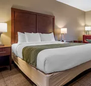 Comfort Inn hotel detail image 4