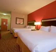 Holiday Inn Express Hotel & Suites Pine Bluff / Pines Mall by IHG hotel detail image 7