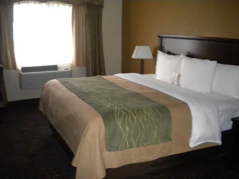 Comfort Inn Federal Way - Seattle hotel detail image 6