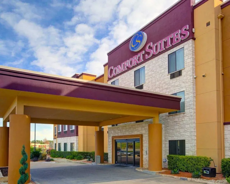 Comfort Suites Georgetown hotel detail image 2