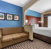 Comfort Suites Georgetown hotel detail image 7