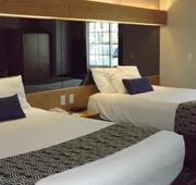 Microtel Inn & Suites by Wyndham Ames hotel detail image 4