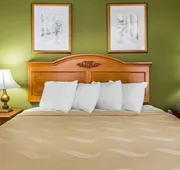 Quality Inn Hanceville US Hwy 31 hotel detail image 5