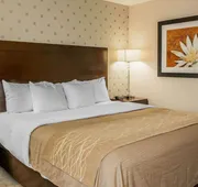 Comfort Inn Bloomington near University hotel detail image 5