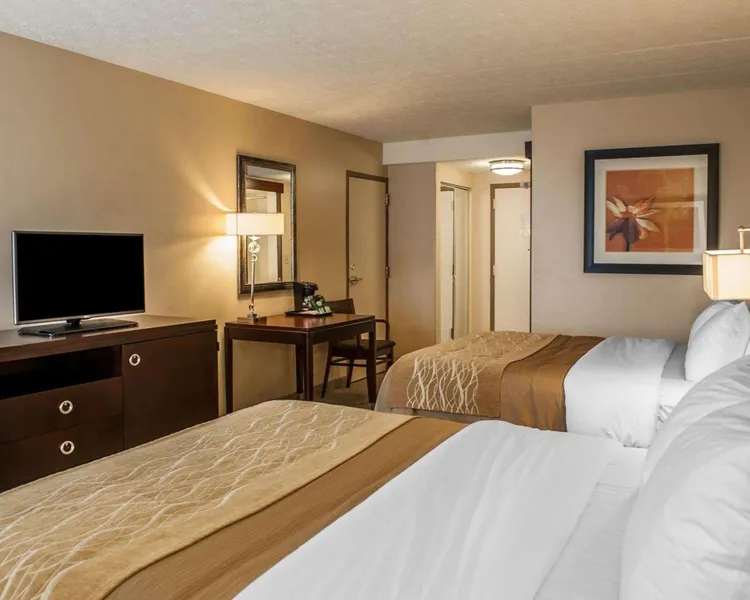 Comfort Inn Bloomington near University hotel detail image 6