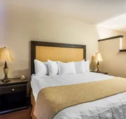Quality Inn And Suites Lethbridge hotel detail image 5