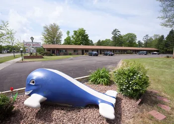 Park Motel hotel thumbnail 8
