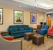 Comfort Inn & Suites, Odessa I-20 hotel detail image 4