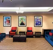 Comfort Inn & Suites, Odessa I-20 hotel detail image 7