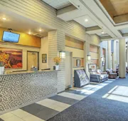 Orange Tree Resort hotel detail image 4