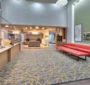Holiday Inn DFW South by IHG hotel detail image 4