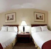 Holiday Inn Express Breaux Bridge by IHG hotel detail image 7