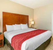 Comfort Inn & Suites Nashville Franklin Cool Springs hotel detail image 7