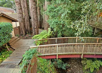 Mill Valley Inn hotel thumbnail 4