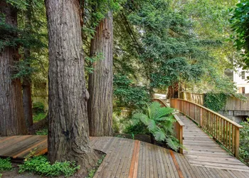 Mill Valley Inn hotel thumbnail 5