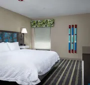 Hampton Inn by Hilton Eagle Pass hotel detail image 5