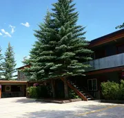 Moose Creek Inn hotel detail image 3
