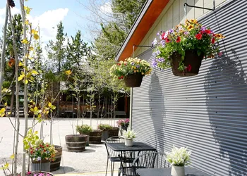 Moose Creek Inn hotel thumbnail 4