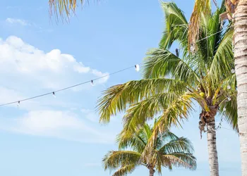 The Molloy - A Boutique Beach Resort hotel thumbnail 5