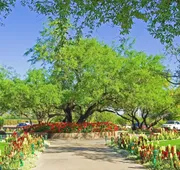 Ventana Canyon Club and Lodge hotel detail image 3