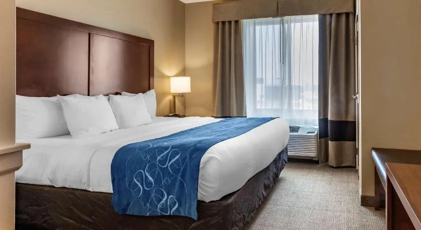Comfort Suites Airport - University hotel detail image 2