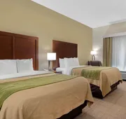Comfort Inn & Suites Port Arthur-Port Neches hotel detail image 5