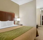 Comfort Inn & Suites Port Arthur-Port Neches hotel detail image 7
