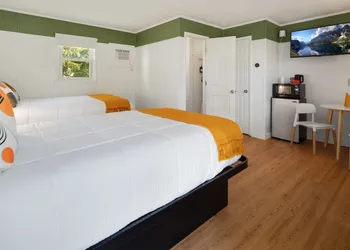 The Birches Motel hotel thumbnail 6