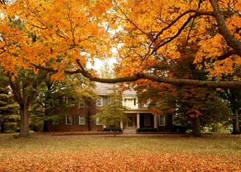 Charred Oaks Inn hotel thumbnail 2