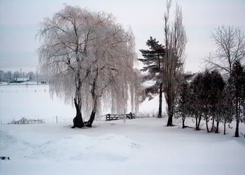 Terrace Green Bed & Breakfast hotel thumbnail 4