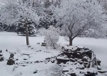 Terrace Green Bed & Breakfast hotel thumbnail 7