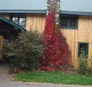 Likely Lodge hotel detail image 3